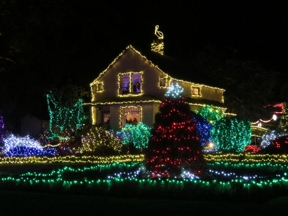 holiday lights on the oregon coast raven and chickadee holiday lights on the oregon coast raven and chickadee