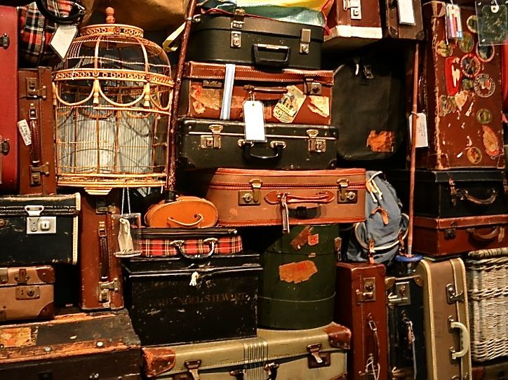 Living Out Of A Suitcase Raven and Chickadee