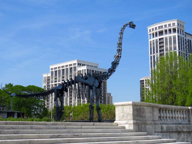 field museum brachiosaurus