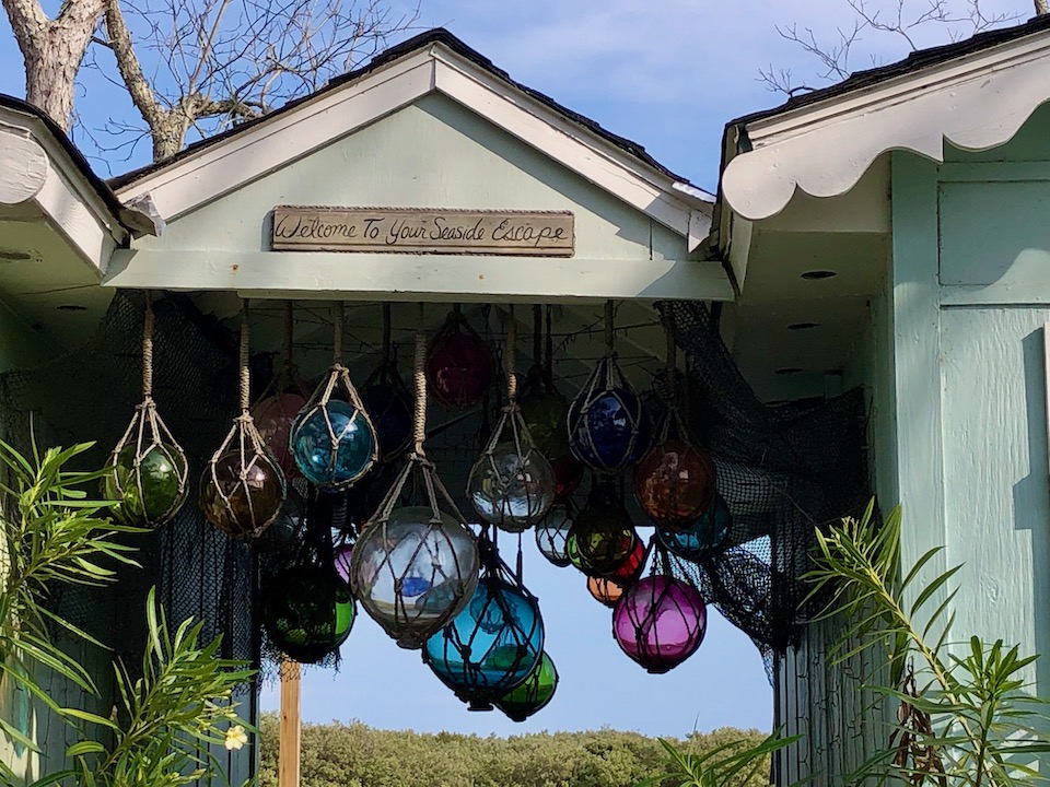 Raven & Chickadee Relaxing In Cedar Key, Florida